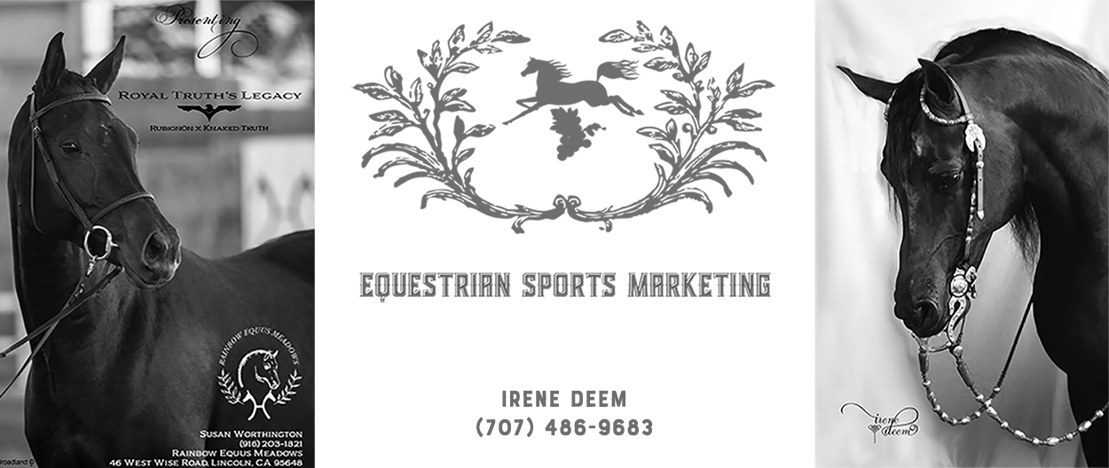 Equestrian Sports Marketing Home
